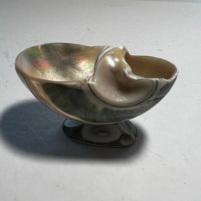 Pedestal Shell Salt