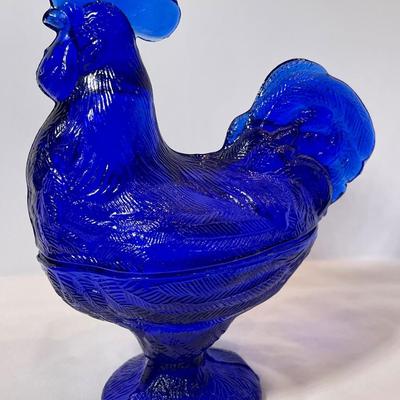 Cobalt blue hen on nest