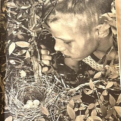 Nice vintage book