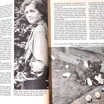 Nice vintage book