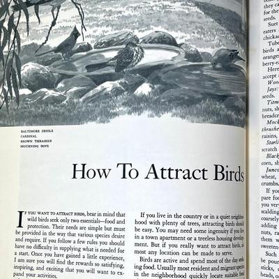 Nice vintage book