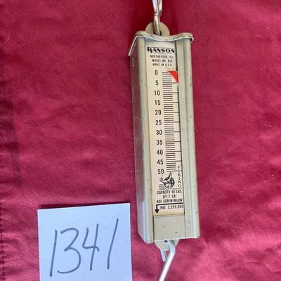 Hanson Hanging Scales #895
