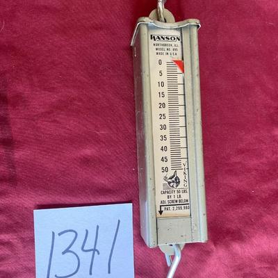 Hanson Hanging Scales #895