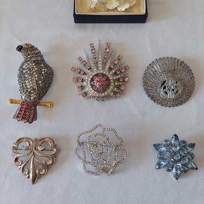 Joan Rivers Brooches and More (PB2-BBL)