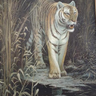 Original Framed Art Tiger on Canvas by E. Max