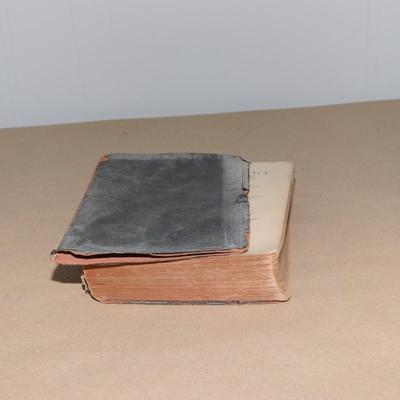 A Test-Book of Bacteriology
