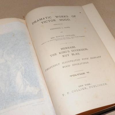 Victor Hugo Books