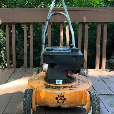 Briggs and Stratton Lawn Mower