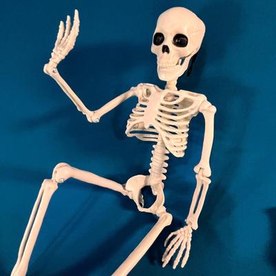 HANGING PLASTIC 3-D SKELETON BLACK EYES
