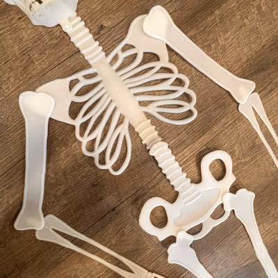 GLOW IN THE DARK PLASTIC SKELETON 64â€ TALL