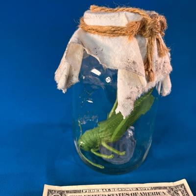 HAUNTED HOUSE WITCHâ€™S SPECIMEN JAR w/PLASTIC GRASSHOPPER INSIDE
