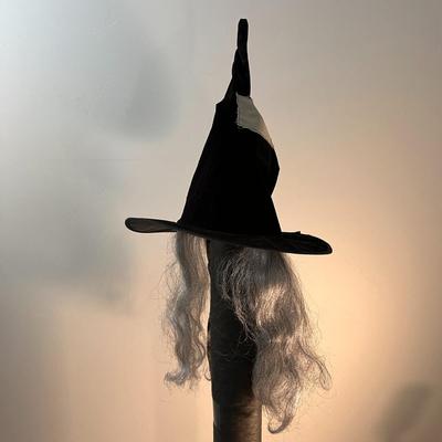 CROOKEDY VELVETEEN WITCHâ€™S HAT WITH GREY HAIR 