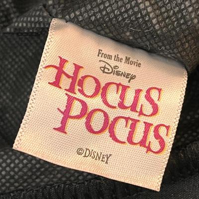 HOCUS POCUS SILK WITCHâ€™S HAT WITH CRUSHED VELVET BAND AND CURLY TIP