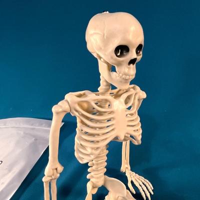 POSABLE SKELETON NEW IN PACKAGE