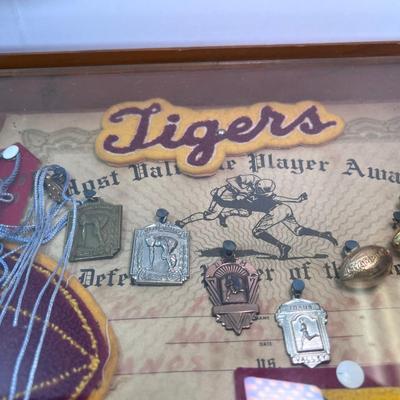 Vietnam Vetren Football memorial Los Banos Ca. high school Tigers