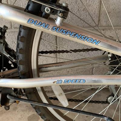 NEXT Power X DS Bicycle