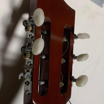 Guitar with Case