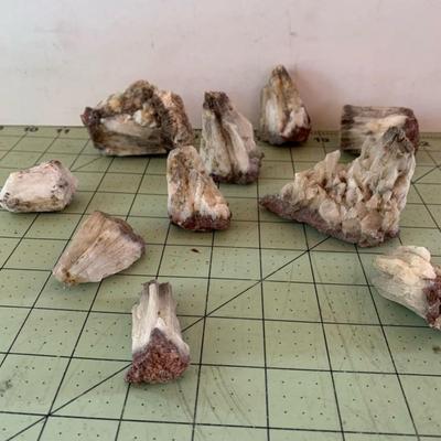 Fossil Bundle