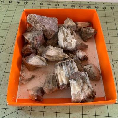 Fossil Bundle
