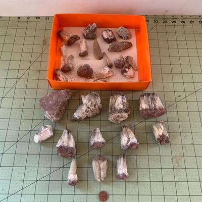 Fossil Bundle