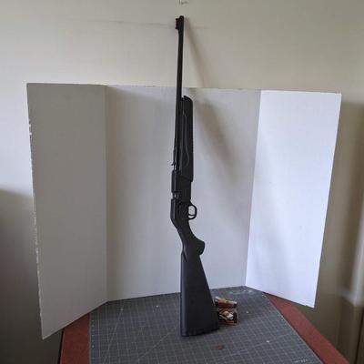 Daisy Powerline 901 BB Gun