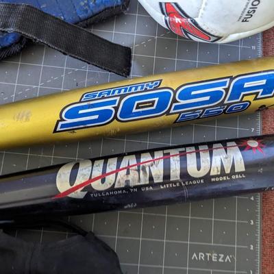 Baseball Bat Bundle