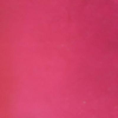 Records Bundle