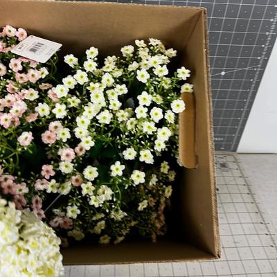 Box of Decorative Florals 