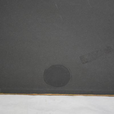 Stunning Vintage NAVAJO Hooked Rug Framed Wall Art