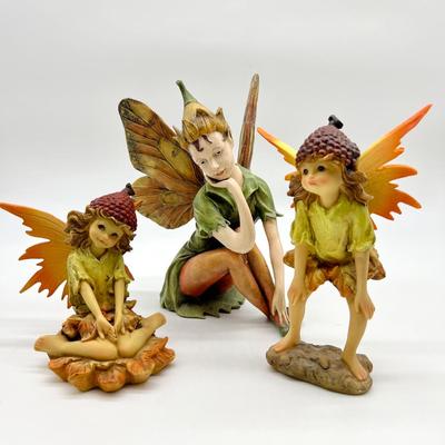 FAIRY Collection