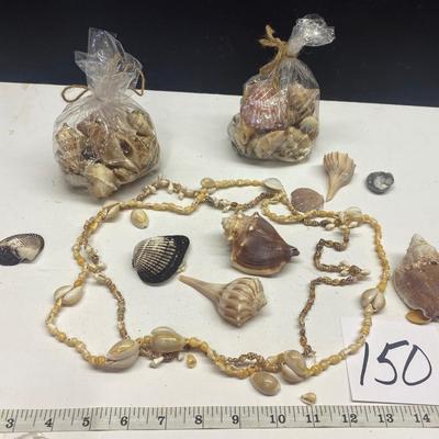 Seashell Necklaces and More