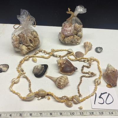 Seashell Necklaces and More