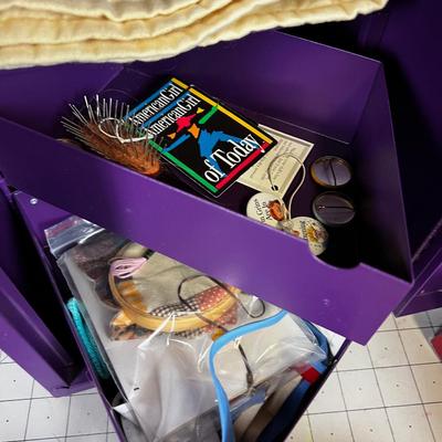 Purple Locker full of American Girl Doll Outfits, Accessories etc.