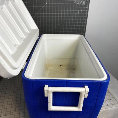 Blue Cooler Coleman Medium Size
