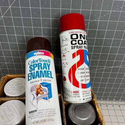 Random Grouping of SPRAY PAINT, Get your Tag on! 