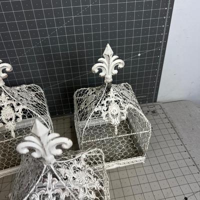 Chicken Wire and Bird Cages (3) 
