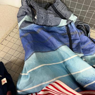 Group of Swim Trunks; Board Shorts and Collectible Jantzen Trunks
