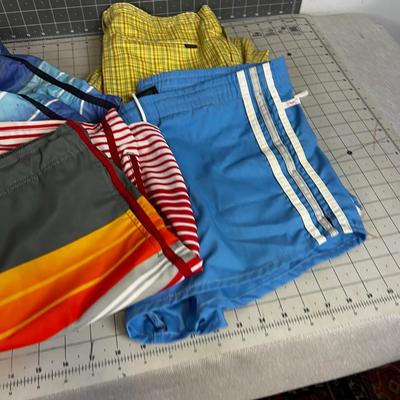 Group of Swim Trunks; Board Shorts and Collectible Jantzen Trunks