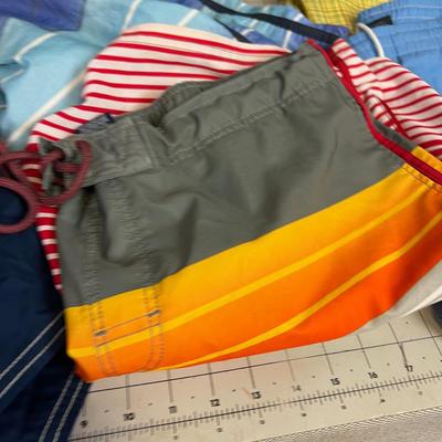 Group of Swim Trunks; Board Shorts and Collectible Jantzen Trunks