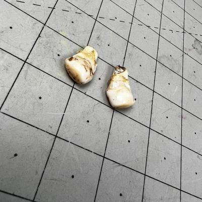 (2) ELK Ivory TEETH