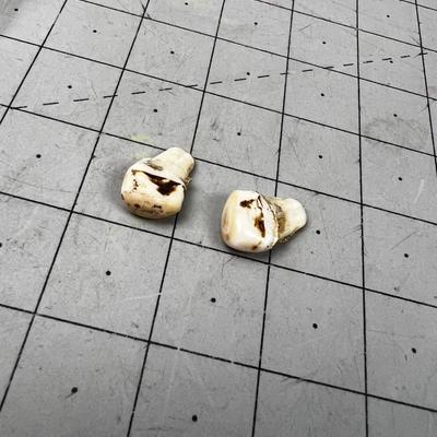 (2) ELK Ivory TEETH