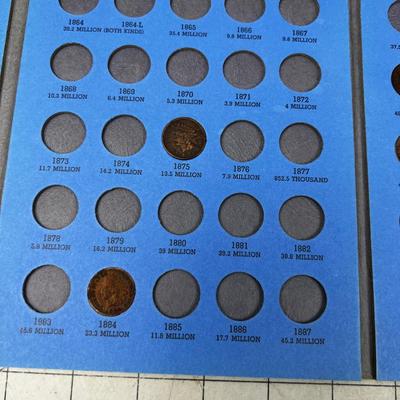 Collection of Indian Head Pennies 