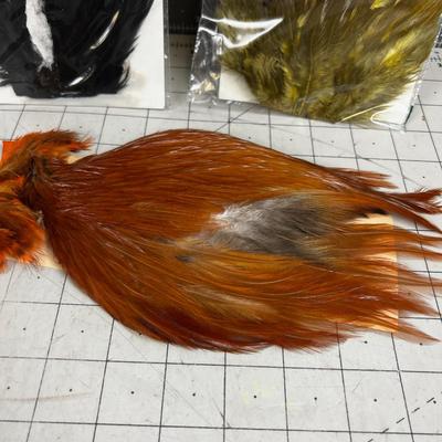 Died Olive, Orange and Black Feathers 