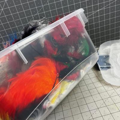 WHOLE TUB of odds and ends FEATHERS 