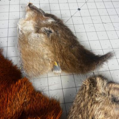 3 Pieces of Fly Tying Fur