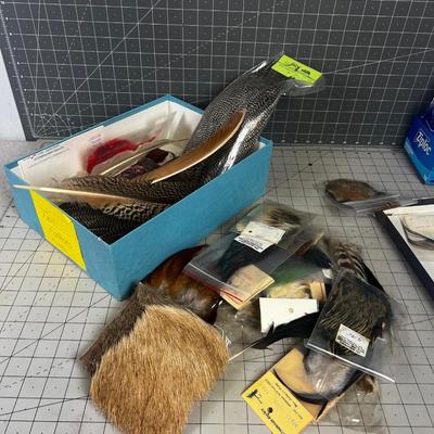 Large Lot of Tail Feathers 