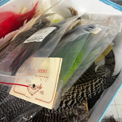 Large Lot of Tail Feathers 