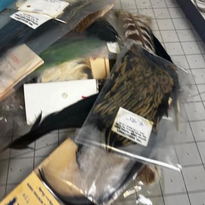 Large Lot of Tail Feathers 