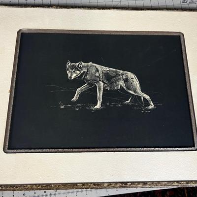 Wolf Picture by Mel Dobson 