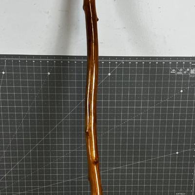Misty's Walking Stick Hand Crafted 